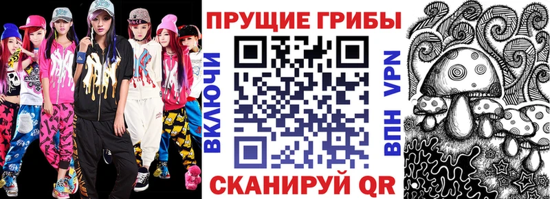 Купить  Шилка  Галлюциногенные грибы Cubensis 